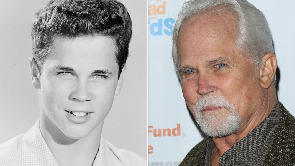Who Is Dion Dow? Actor Tony Dow Brother And Family 1 Dion Dow
