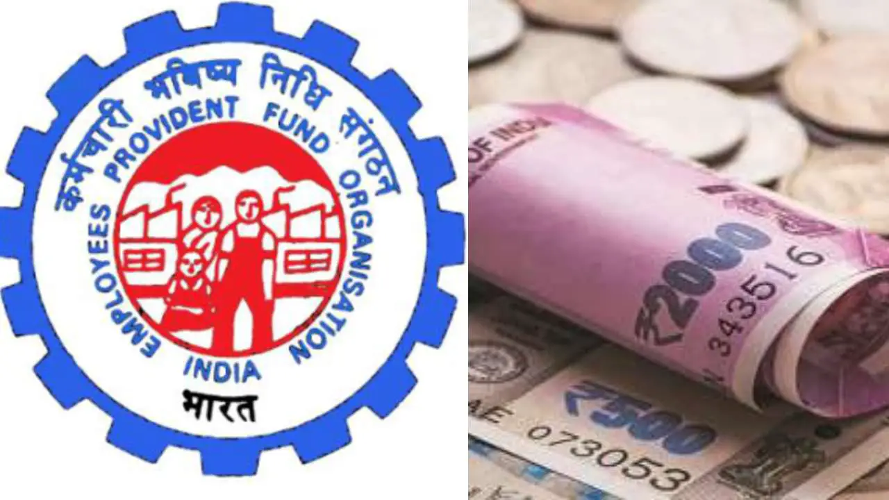 EPFO, EPF Login, PF Withdrawal, PF Member, Check EPFO Balance 1 EPFO