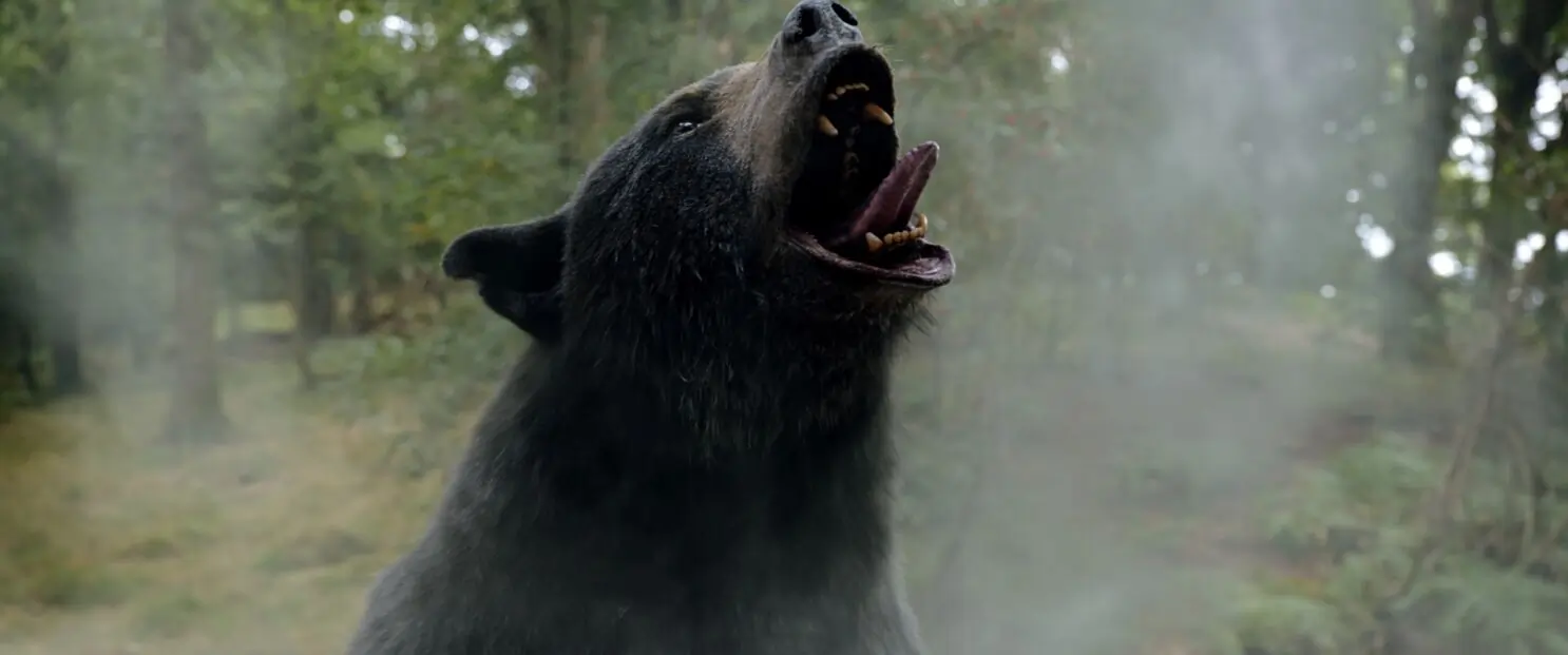 Cocaine Bear Review, What it is 1 Cocaine Bear
